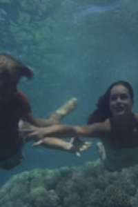 Blue Lagoon, The